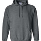 Gildan - Unisex Heavy Blend™ Hooded Sweatshirt