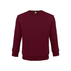 Bonita Cotton Soft Style Youth Size Unisex Sweatshirt