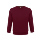 Bonita Cotton Soft Style Youth Size Unisex Sweatshirt - UrbanDTF