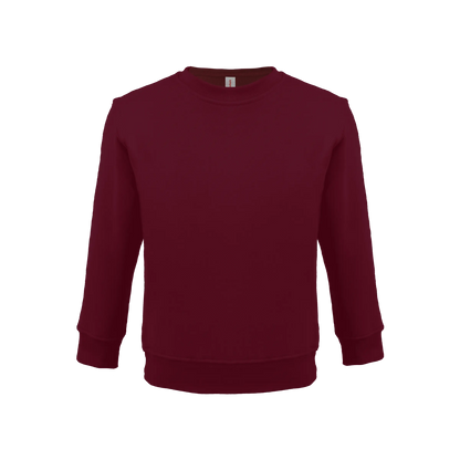 Bonita Cotton Soft Style Youth Size Unisex Sweatshirt - UrbanDTF